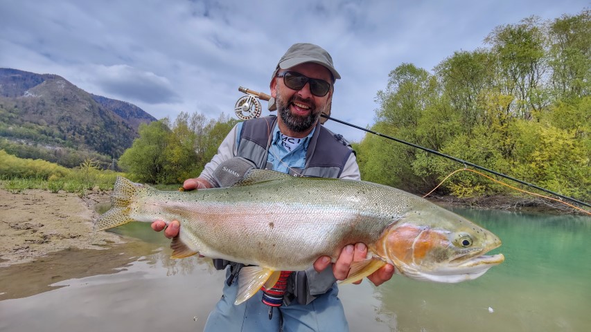 big rainbow trout slovenia.